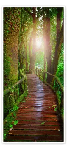 A footbridge Into the Light Editors Choice