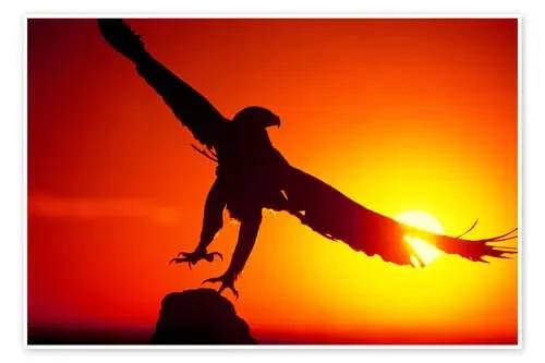 A golden eagle flies at dawn de Dave Welling Danita Delimont