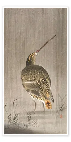 A snipe in the rain de Ohara Koson Master Collection