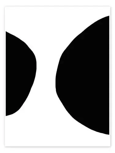 Abstracto de Finlay and Noa