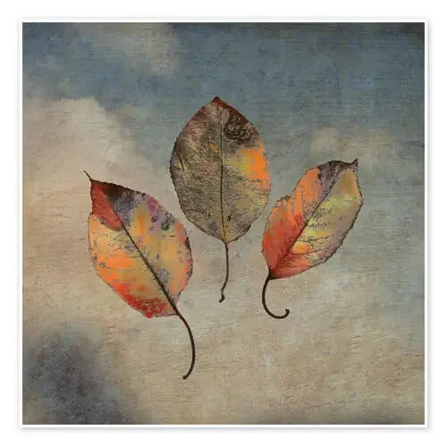 acceptance de Brenda Erickson