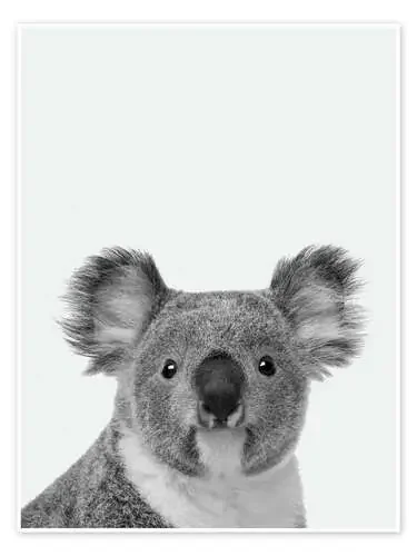 Adorable koala en blanco y negro de Finlay and Noa