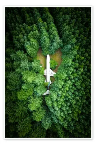 Aircraft in the pine forest de Ulrich Beinert