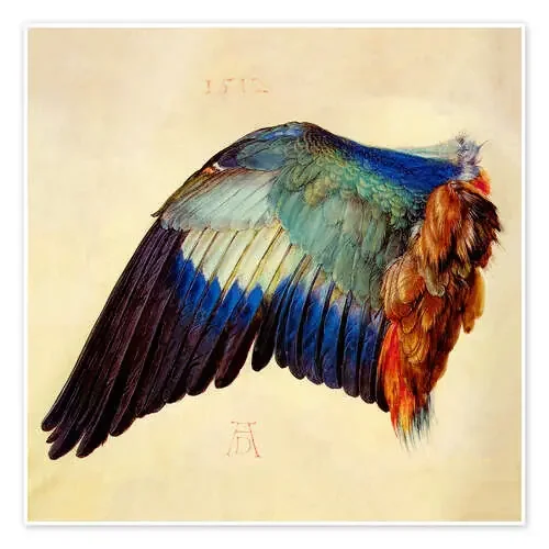 Alas de una carraca europea de Albrecht Dürer Master Collection