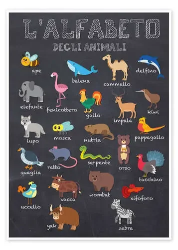 Alfabeto de los Animales (italiano) de Kidz Collection Editors Choice