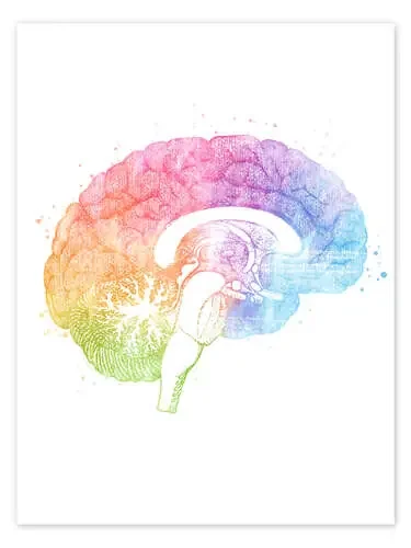 Anatomía del cerebro de Mod Pop Deco