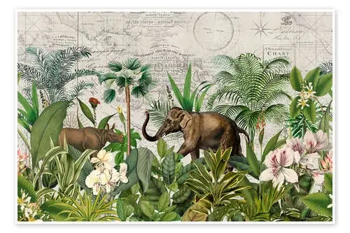Animales silvestres en los trópicos de Andrea Haase
