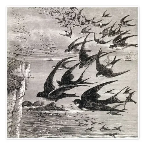 Annual Migration Of Swallows de Ken Welsh Design Pics