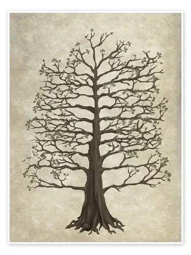 Árbol genealógico de Nadine Conrad
