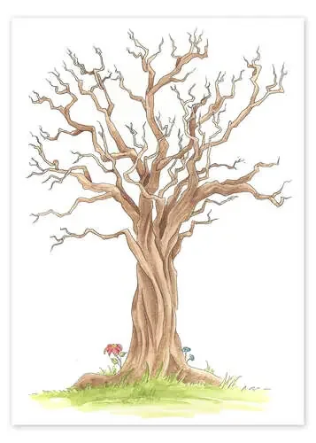 Árbol genealógico de Nadine Conrad