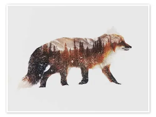 Arctic Red Fox de Andreas Lie