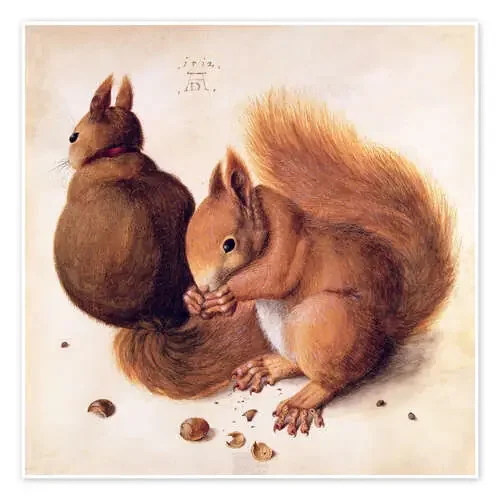 Ardillas de Albrecht Dürer Bridgeman Images
