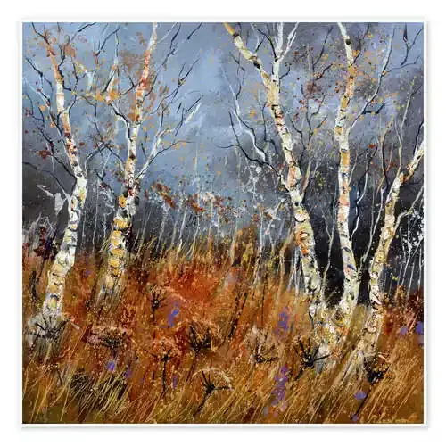 Aspen trees in winter de Pol Ledent
