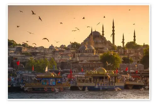 Atardecer con pájaros en Estambul, Turquía de Matteo Colombo