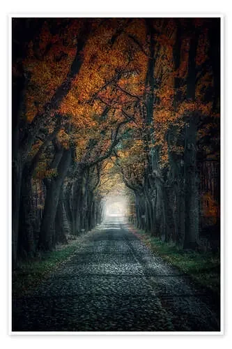 Autumn Avenue de Meinolf Lipka