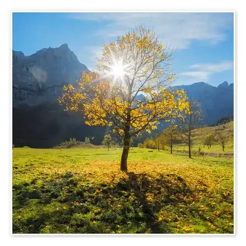 Autumn in Apls de Dieter Meyrl