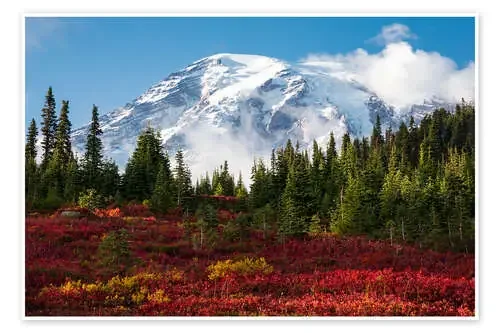 Autumn in Mount Rainier National Park de Daniel Gastager