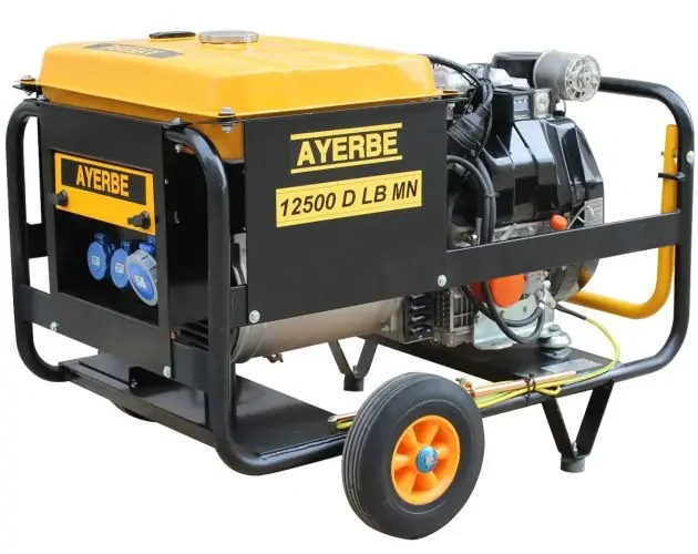Ayerbe – 5418479 – generador 12500 mn con arranque eléctrico | Brico Depôt Vendita Finale