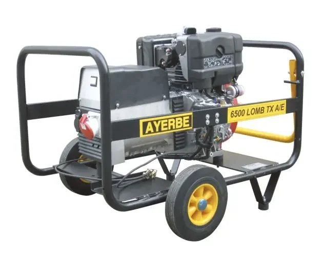 Ayerbe – 5418665 – generador 6500 lb tx diesel con arranque eléctrico | Brico Depôt Ordine In Blocco