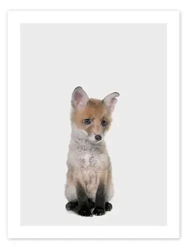 Baby Fox de Animal Kids Collection Editors Choice
