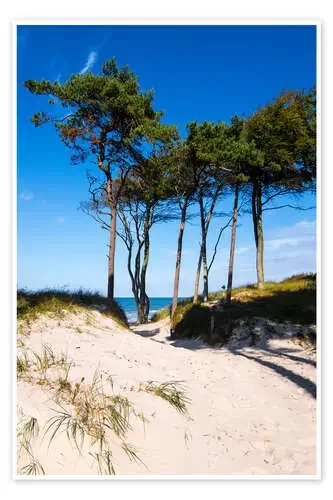 Baltic sea – Wstern beach close to Ahrenshoop de Reiner Würz