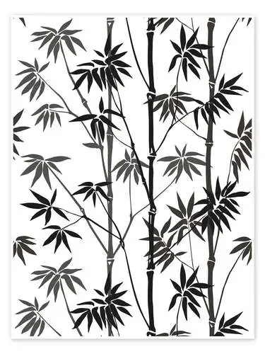 Bambú negro y blanco Editors Choice
