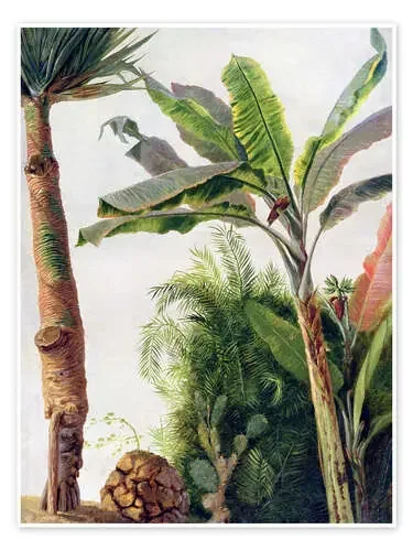 Banana Tree de Frederic Edwin Church Bridgeman Images