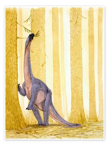 Barapasaurus dinosaur, illustration Science Photo Library