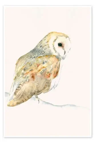 Barn Owl de Catherina Türk