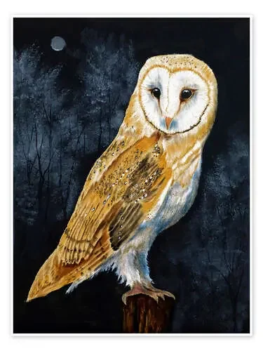 Barn Owl de Paul Ranson Master Collection