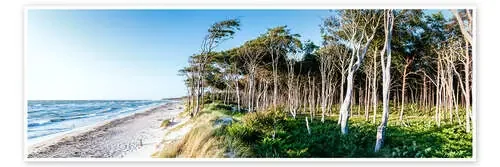 Beach and Forest at the Baltic Sea de Sascha Kilmer