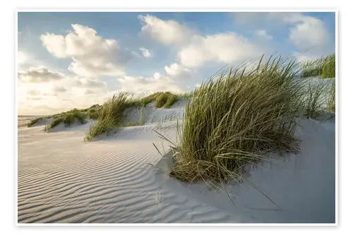 Beach Grass on the Dune Beach de Jan Christopher Becke