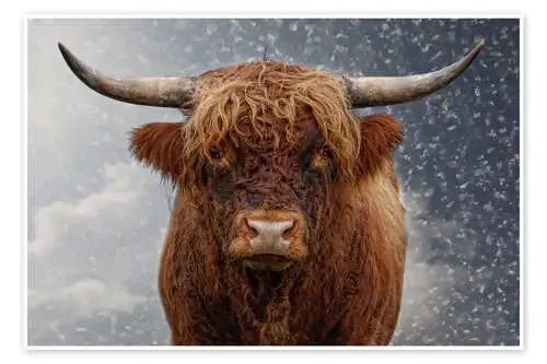 Big Bull de Joachim G. Pinkawa