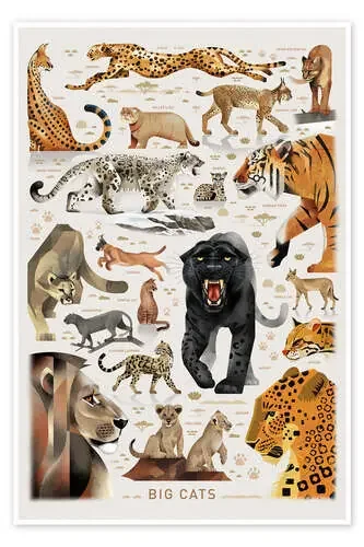 Big Cats I de Dieter Braun