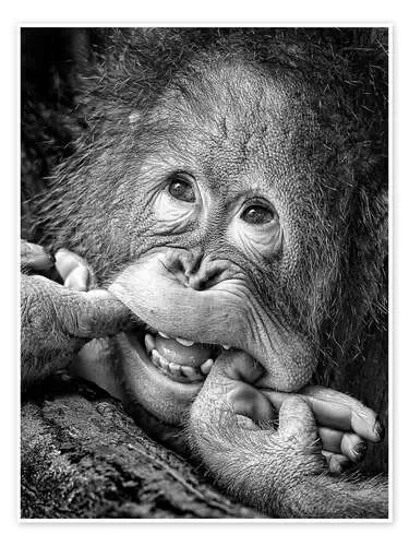 Big Smile, please! de Angela Muliani Hartojo 1x