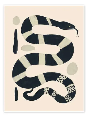 Black and White Snake de ThingDesign