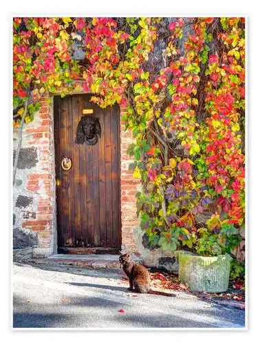 Black cat in Italy de Julie Eggers Danita Delimont
