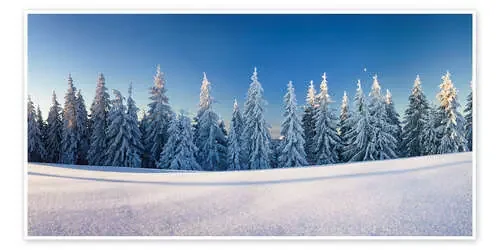 Black Forest Winter Landscape de Markus Lange