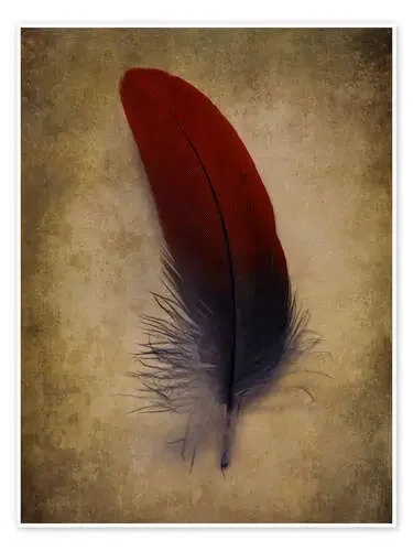 Blue and red feather de Jaroslaw Blaminsky