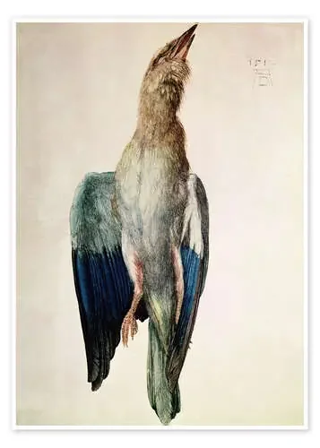 Blue Crow de Albrecht Dürer Bridgeman Images