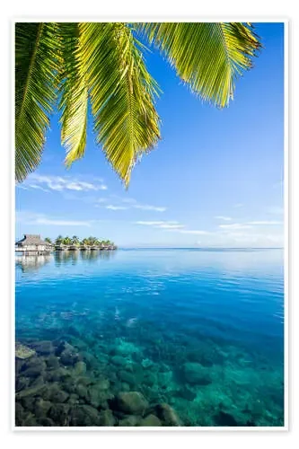 Blue Lagoon de Jan Christopher Becke