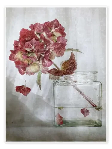 Bodegón con hortensias de Mandy Disher