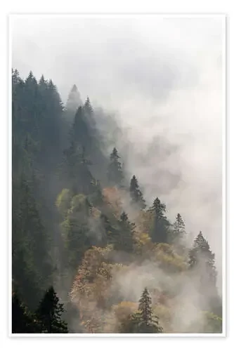 Bosque con nubes de Michael Valjak