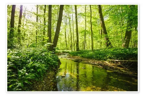 Bosque verde de Oliver Henze