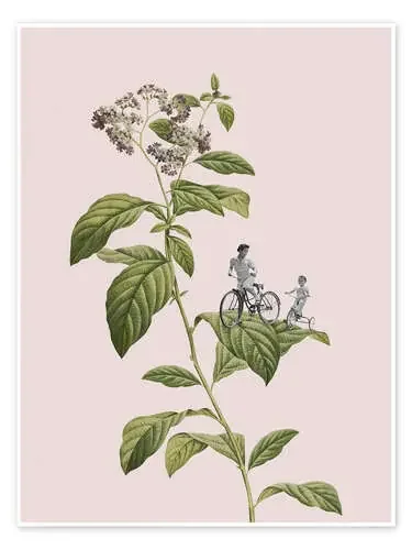 Botanical Cycling de Frida Floral Studio