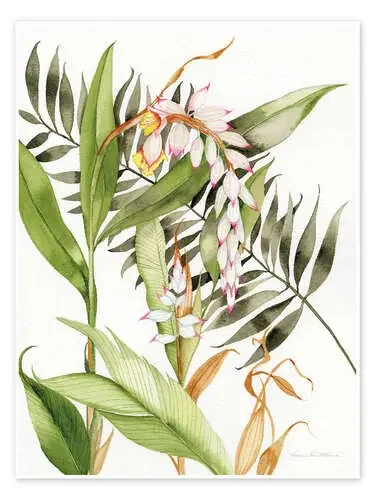 Botánico Shell Ginger de Kathleen Parr McKenna Wild Apple Graphics