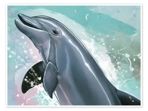 Bottlenose Dolphin de Ashley Verkamp