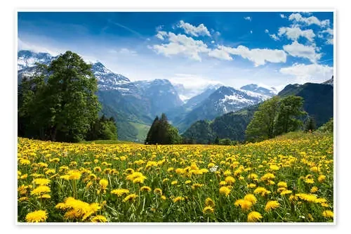 Braunwald in spring de Peter Wey