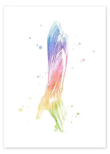 Brazo arcoiris de Mod Pop Deco