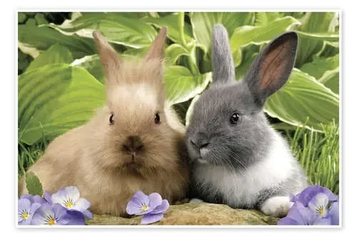 Brown and grey rabbit de Greg Cuddiford MGL Licensing